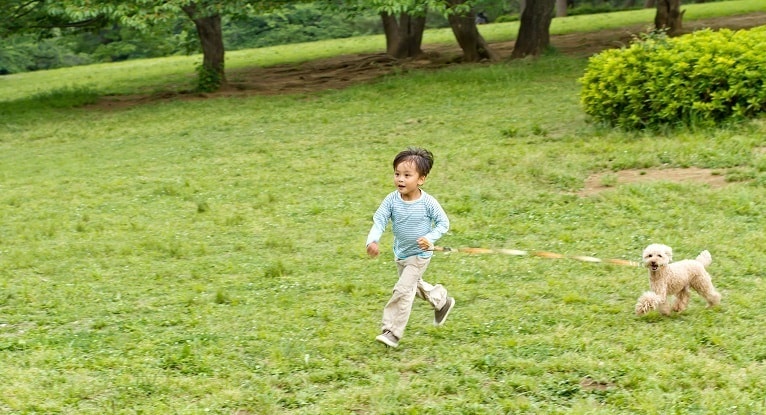 お子様向け無料ヒーリング｜草原を走る子どもと犬の元気な姿（あなたの大切な小さな家族にも対応）