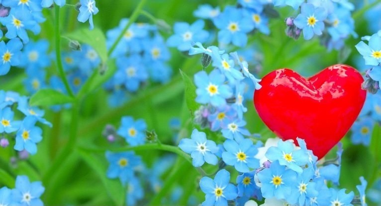 レイキ伝授のご感想｜青い花と赤いハートで表す癒しと感謝のエネルギー