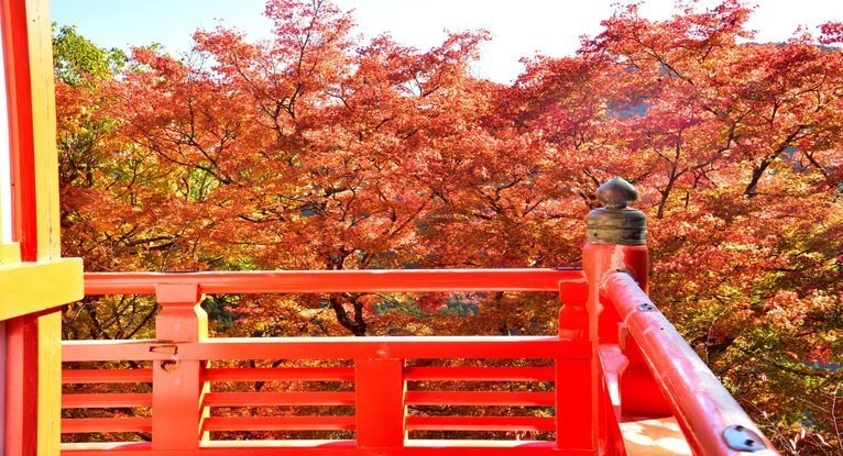 鞍馬寺の朱色の欄干と紅葉の絶景｜レイキ発祥の地の秋を象徴する写真