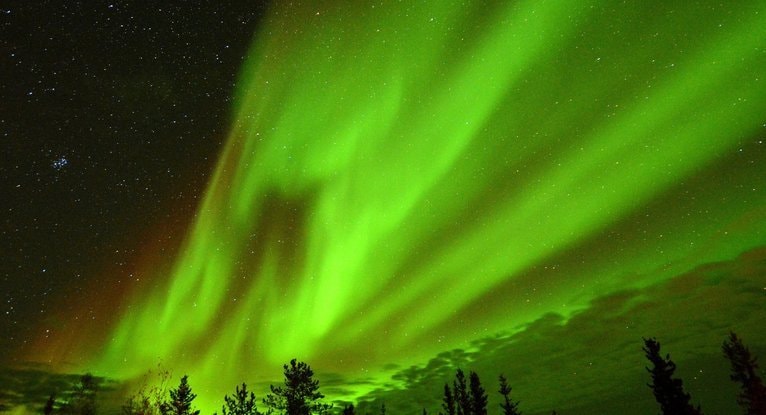 星空に広がる緑のオーロラと森のシルエットで、レイキと宇宙エネルギーのつながりをイメージした写真