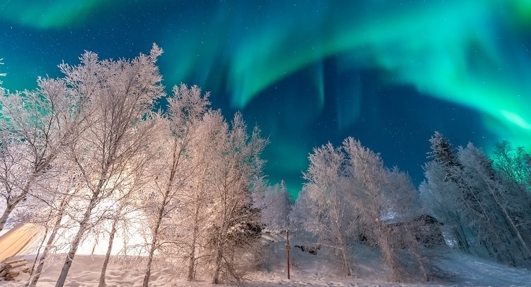 冬の夜空にオーロラが揺らめく雪の森で、レイキと地球のエネルギーのつながりをイメージした写真